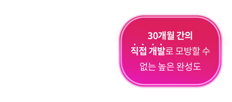 30개월 간의 직접 개발로 모방할 수 없는 높은완성도
